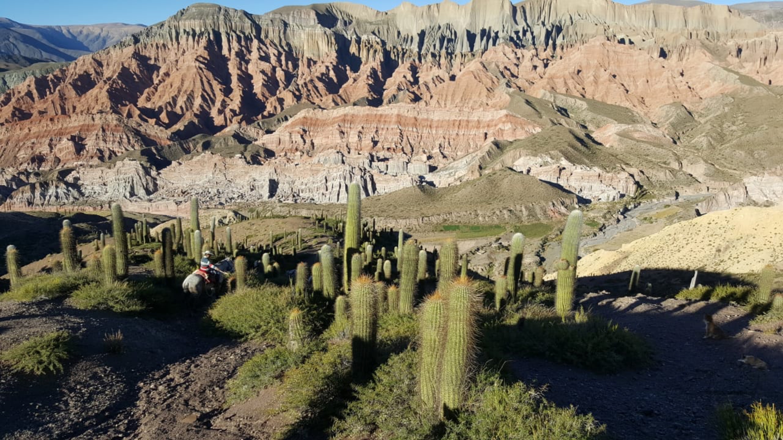 Cabalgata en Salta 4